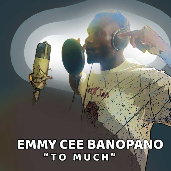 Song Cover